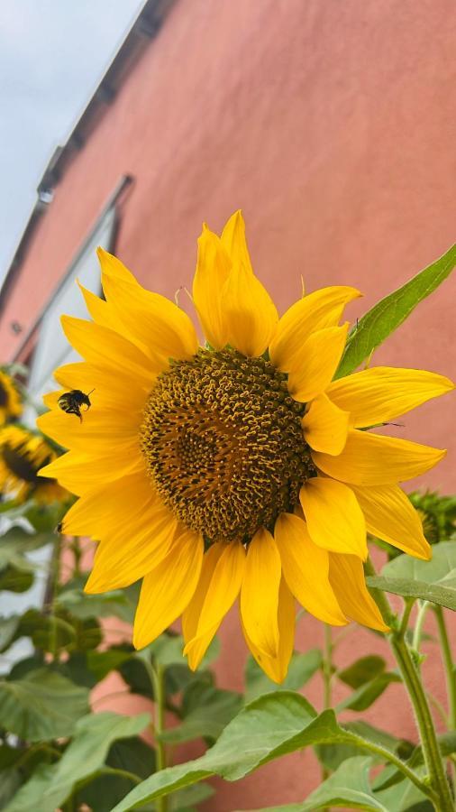 Agriturismo Su Barraccu Loceri Eksteriør billede