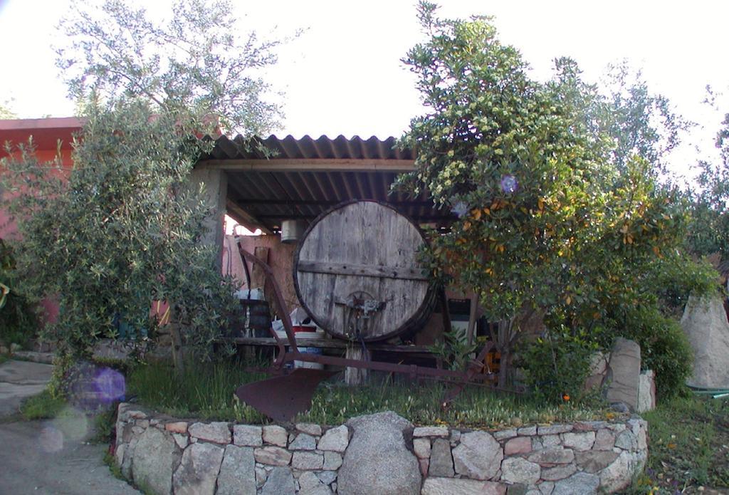 Agriturismo Su Barraccu Loceri Eksteriør billede