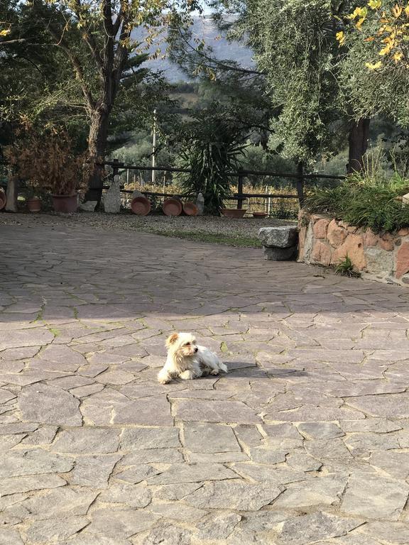 Agriturismo Su Barraccu Loceri Eksteriør billede