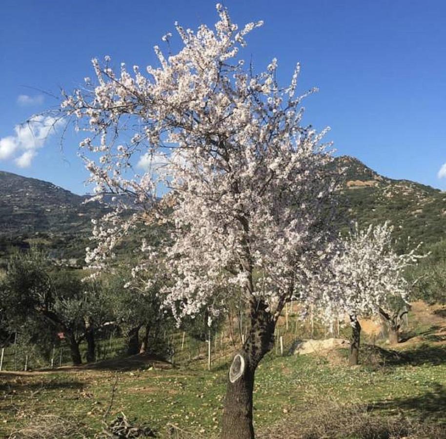Agriturismo Su Barraccu Loceri Eksteriør billede
